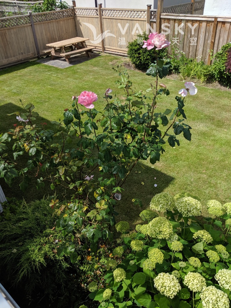 251101145901_backyard - 02.jpg